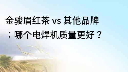 金骏眉红茶 vs 其他品牌：哪个电焊机质量更好？