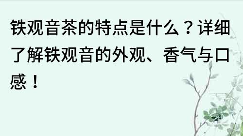 铁观音茶的特点是什么？详细了解铁观音的外观、香气与口感！