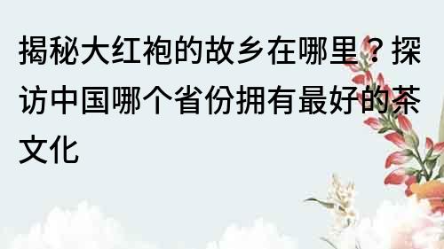 揭秘大红袍的故乡在哪里？探访中国哪个省份拥有最好的茶文化