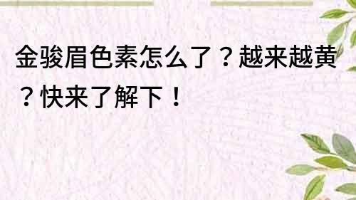 金骏眉色素怎么了？越来越黄？快来了解下！