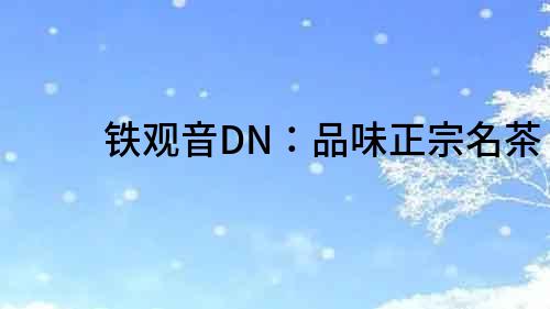 铁观音DN：品味正宗名茶