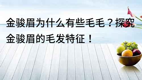 金骏眉为什么有些毛毛？探究金骏眉的毛发特征！