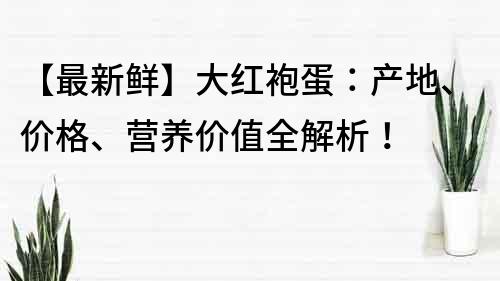 【最新鲜】大红袍蛋：产地、价格、营养价值全解析！