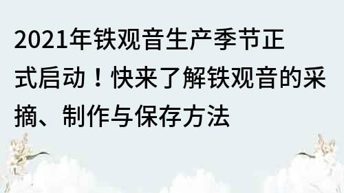 2021年铁观音生产季节正式启动！快来了解铁观音的采摘、制作与保存方法