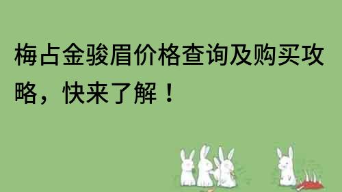 梅占金骏眉价格查询及购买攻略，快来了解！