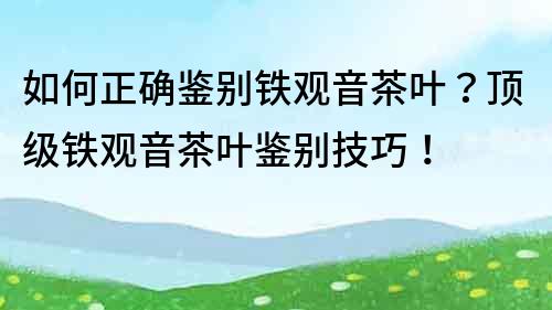 如何正确鉴别铁观音茶叶？顶级铁观音茶叶鉴别技巧！