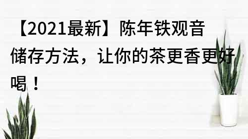 【2023最新】陈年铁观音储存方法，让你的茶更香更好喝！