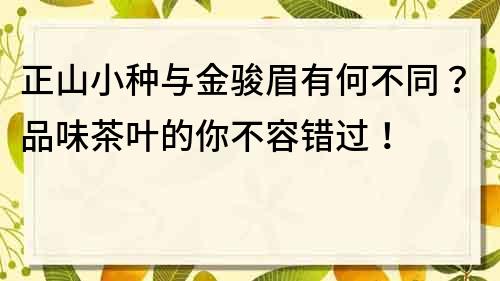 正山小种与金骏眉有何不同？品味茶叶的你不容错过！