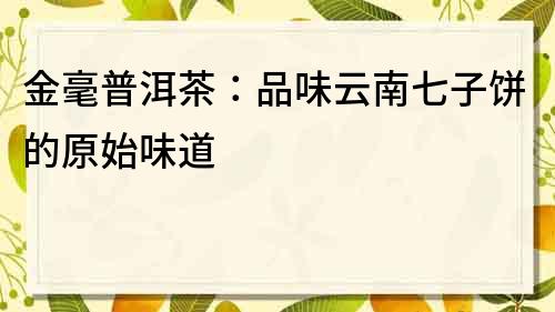 金毫普洱茶：品味云南七子饼的原始味道