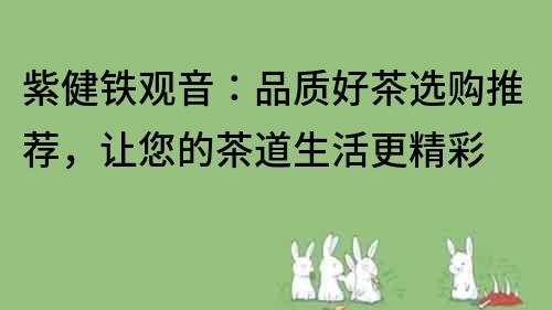 紫健铁观音：品质好茶选购推荐，让您的茶道生活更精彩