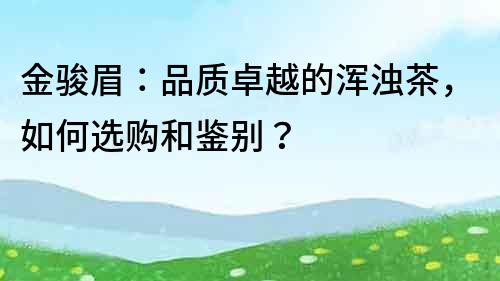 金骏眉：品质卓越的浑浊茶，如何选购和鉴别？