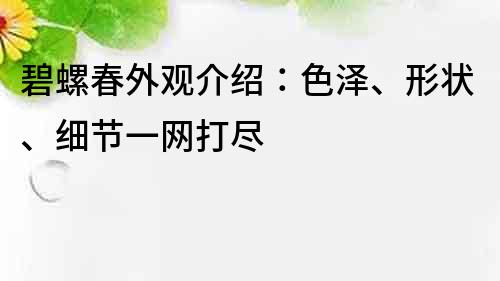 碧螺春外观介绍：色泽、形状、细节一网打尽