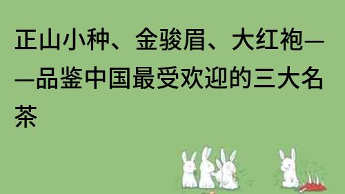 正山小种、金骏眉、大红袍——品鉴中国最受欢迎的三大名茶