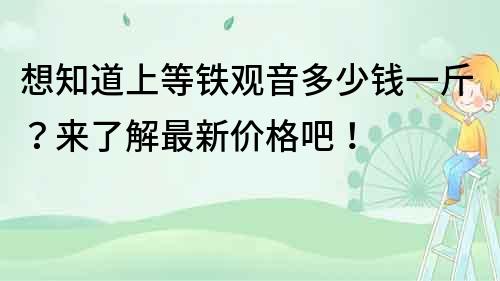 想知道上等铁观音多少钱一斤？来了解最新价格吧！