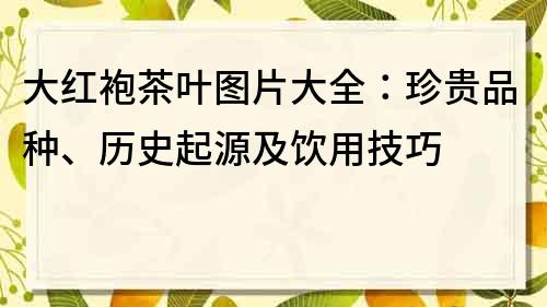 大红袍茶叶图片大全：珍贵品种、历史起源及饮用技巧