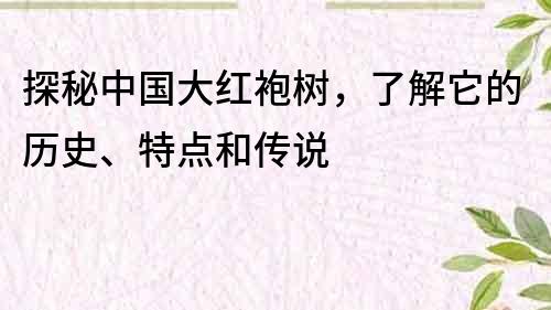 探秘中国大红袍树，了解它的历史、特点和传说