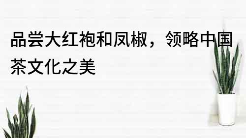 品尝大红袍和凤椒，领略中国茶文化之美