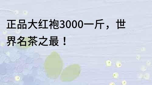 正品大红袍3000一斤，世界名茶之最！