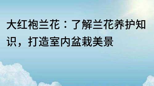 大红袍兰花：了解兰花养护知识，打造室内盆栽美景