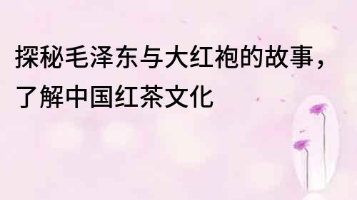 探秘毛泽东与大红袍的故事，了解中国红茶文化