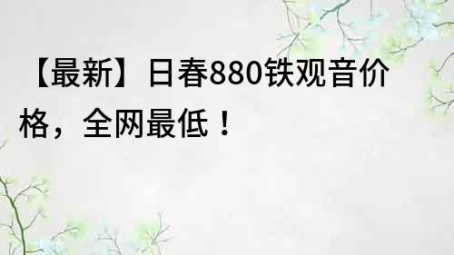 【最新】日春880铁观音价格，全网最低！