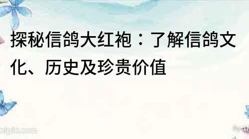 探秘信鸽大红袍：了解信鸽文化、历史及珍贵价值