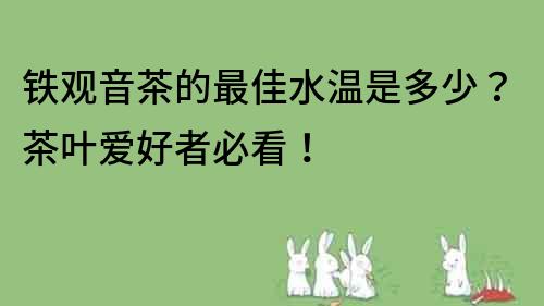 铁观音茶的最佳水温是多少？茶叶爱好者必看！