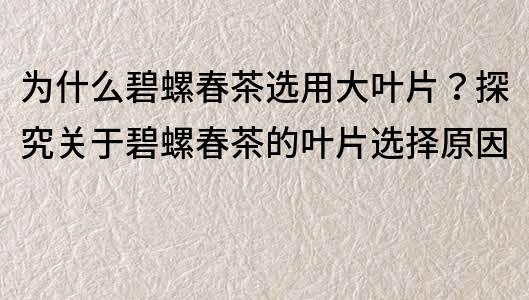 为什么碧螺春茶选用大叶片？探究关于碧螺春茶的叶片选择原因