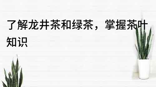 了解龙井茶和绿茶，掌握茶叶知识