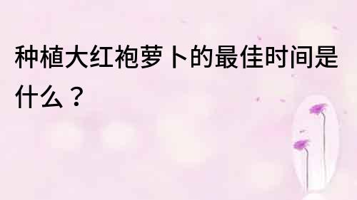 种植大红袍萝卜的最佳时间是什么？