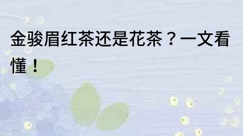 金骏眉红茶还是花茶？一文看懂！