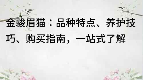 金骏眉猫：品种特点、养护技巧、购买指南，一站式了解