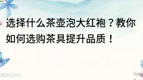 选择什么茶壶泡大红袍？教你如何选购茶具提升品质！