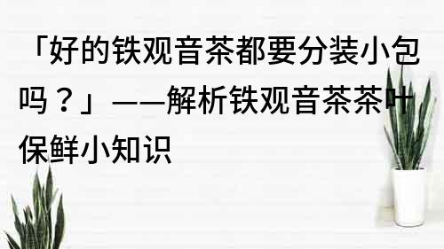 「好的铁观音茶都要分装小包吗？」——解析铁观音茶茶叶保鲜小知识