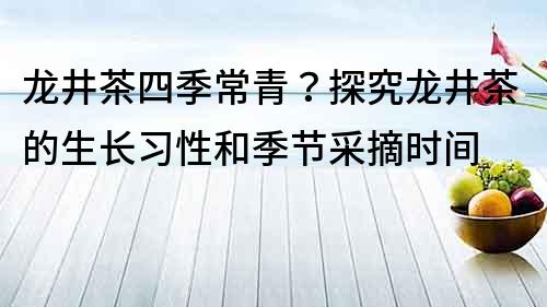 龙井茶四季常青？探究龙井茶的生长习性和季节采摘时间