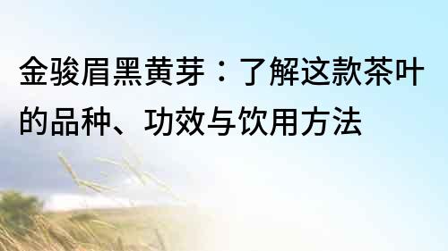 金骏眉黑黄芽：了解这款茶叶的品种、功效与饮用方法