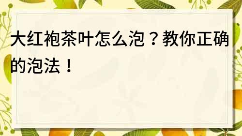 大红袍茶叶怎么泡？教你正确的泡法！