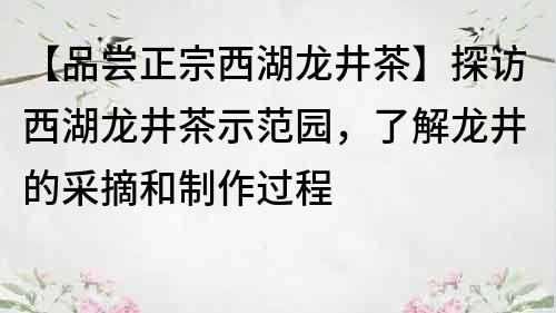 【品尝正宗西湖龙井茶】探访西湖龙井茶示范园，了解龙井的采摘和制作过程