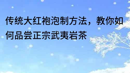 传统大红袍泡制方法，教你如何品尝正宗武夷岩茶