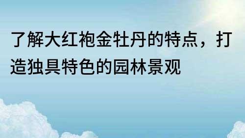 了解大红袍金牡丹的特点，打造独具特色的园林景观