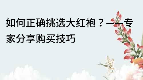 如何正确挑选大红袍？——专家分享购买技巧