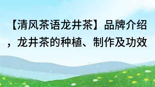 【清风茶语龙井茶】品牌介绍，龙井茶的种植、制作及功效