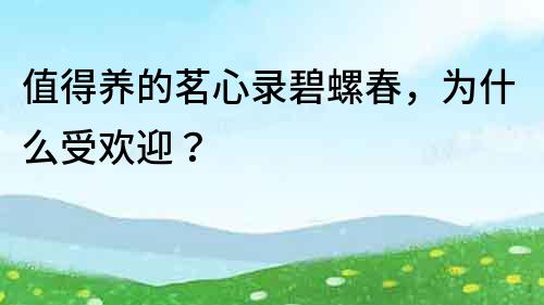 值得养的茗心录碧螺春，为什么受欢迎？