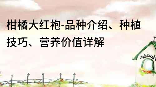 柑橘大红袍-品种介绍、种植技巧、营养价值详解