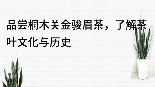 品尝桐木关金骏眉茶，了解茶叶文化与历史