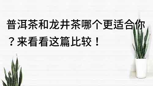 普洱茶和龙井茶哪个更适合你？来看看这篇比较！