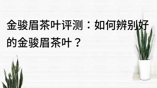 金骏眉茶叶评测：如何辨别好的金骏眉茶叶？