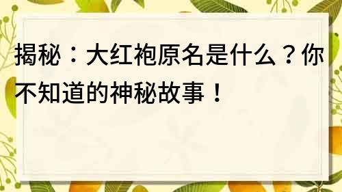 揭秘：大红袍原名是什么？你不知道的神秘故事！