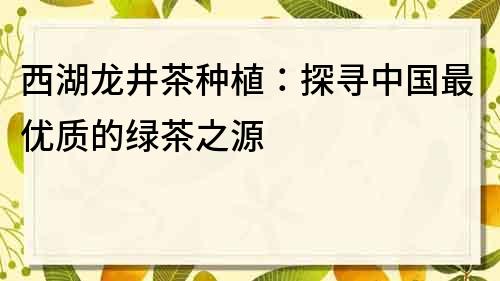 西湖龙井茶种植：探寻中国最优质的绿茶之源