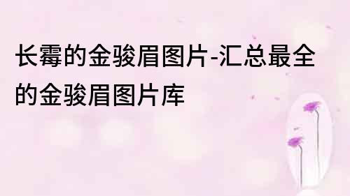 长霉的金骏眉图片-汇总最全的金骏眉图片库